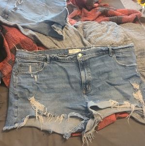 Size 22 abercrombie shorts